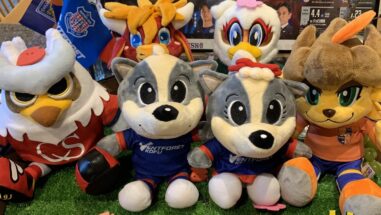 サポーター必見！サッカー応援盛り上げます！！城のホテル甲府 山梨 甲府 甲府駅 南口